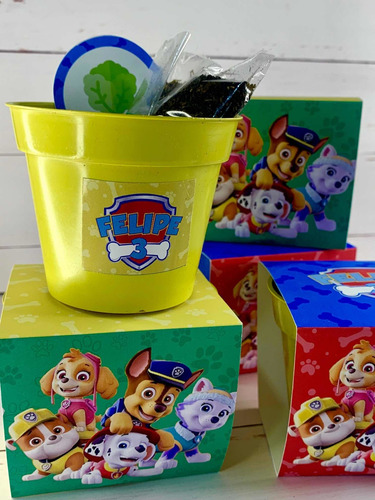 Souvenirs La Granja De Zenon Kit Siembra Huerta X10
