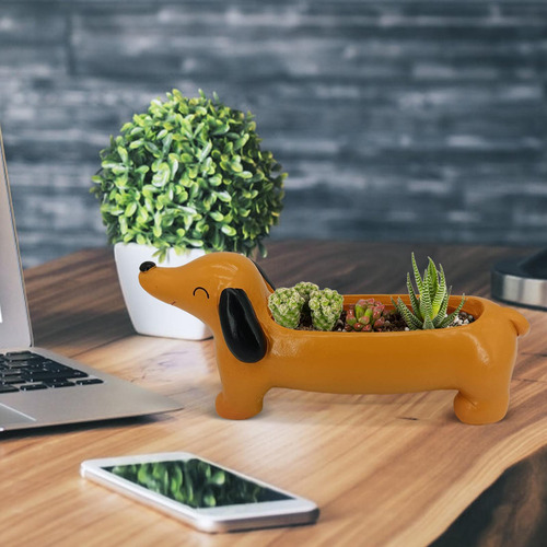 Macetas Para Plantas S Maceta Para Perro Lindas Macetas De P