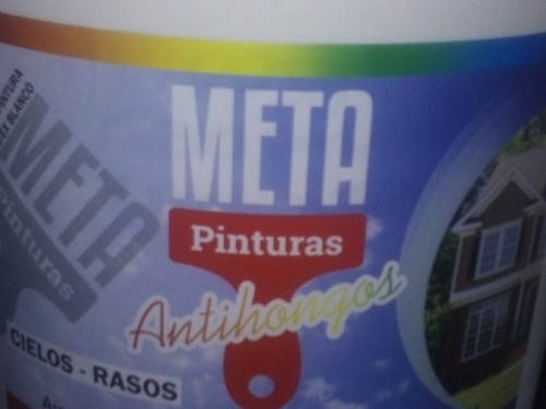 Meta Pinturas Cielo Raso Practico 18l Antihongos Blanco Mate