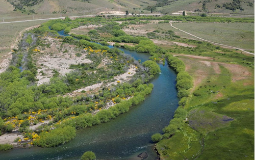 Campo En    La Angostura Del Chimehuin   27 Ha