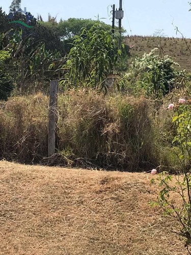 Imagem 9 de 23 de Sítio Com 3 Dorms, Batatuba, Piracaia - R$ 689 Mil, Cod: 2758 - V2758