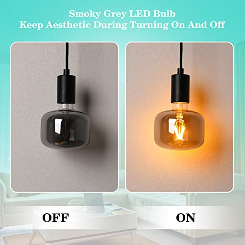 Amdtu Bombilla Led Edison Grande De Color Gris Ahumado Regul