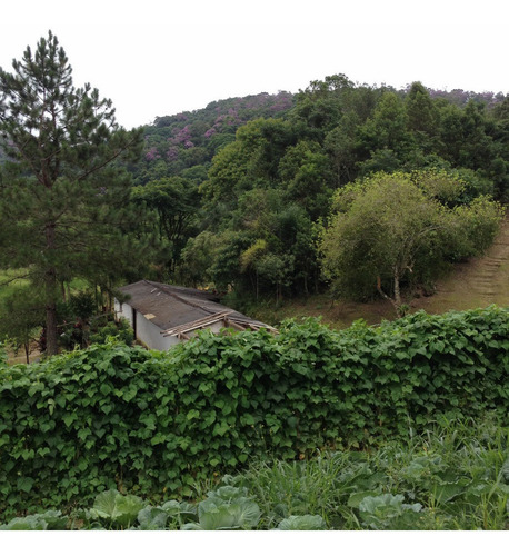 Imagem 10 de 29 de Vendo Terreno 260.000m² Ou 26,1ha Em Guapiara Sp Opções: Plantio, Criação De Gado, Turismo E Outros