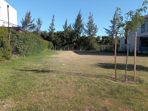 Imagen 3 de 16 de Venta De Excelente Lote En Barrio Las Tipas, Muy Buena Ubicación, Nordelta, Tigre