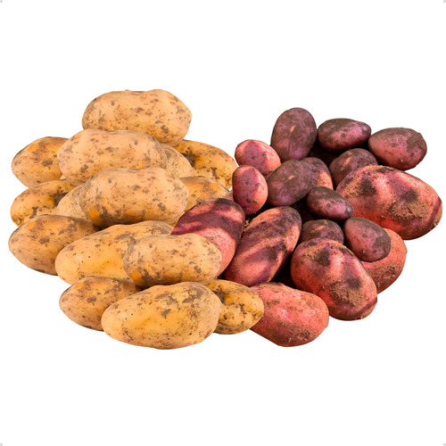 Batata Inglesa E Asterix Escovada Selecionada Kit 10kg Saco