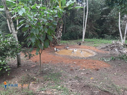 Chácara Com 3 Dormitórios À Venda, 1900 M² Por R$ 668.000,00 - Loteamento M Dos Colibris - Embu-guaçu/sp - Ch0006