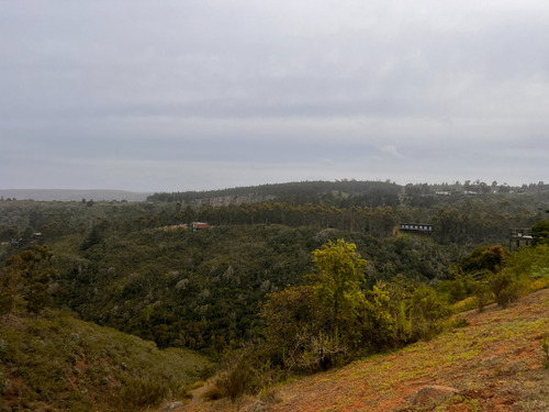 Campomar Acceso A Playa Virgen Tunquen, Refugio Forestal,