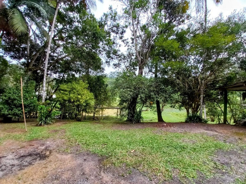 Imagem 19 de 20 de Chácara À Venda Em Juquitiba Com Lago 14.000 M²