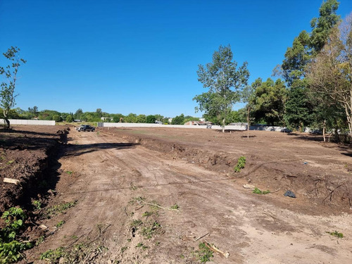 Imagen 4 de 14 de Venta Terreno - Melchor Romero