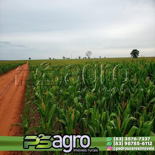 Imagem 6 de 16 de Fazenda À Venda, 350 Alqueires Por R$ 66.350.000 - Centro - Iepê/sp - Fa0171