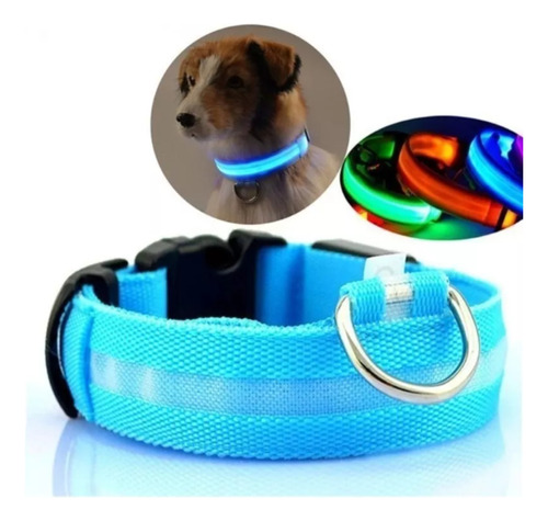 Correa Collar P/perro Mascota C/luz Led Varios Colores