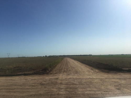 Imagen 2 de 4 de Terreno De 262,50 Mts. En Toledo