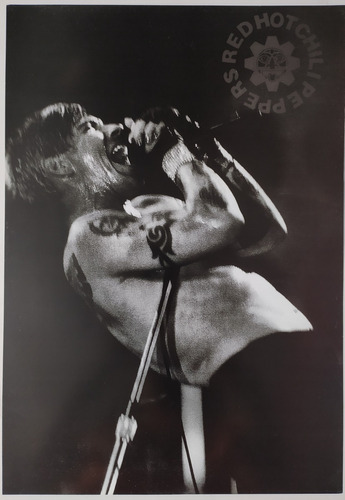 Poster Red Hot Chili Peppers Cantante Laser Rock 