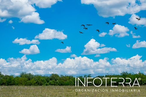 Imagen 6 de 14 de Lote En Venta Calamuchita Vista De San Ignacio