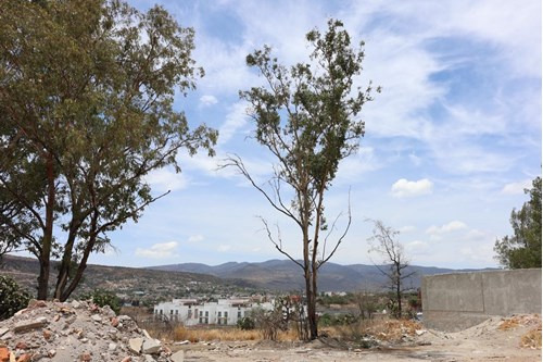 Lote A En Venta En Allende Residencial, San Miguel De Allende