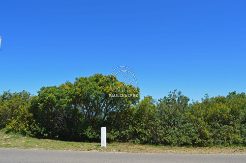 Imagen 4 de 13 de Terrenos-venta-cerro-san-antonio-te214