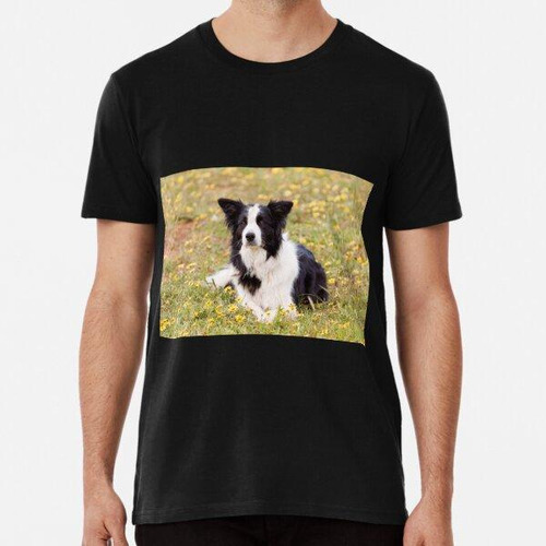 Remera Border Collie In A Field Of Yellow Flowers Algodon Pr