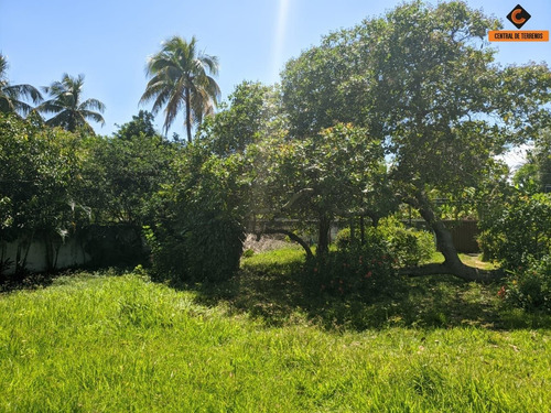 Imagem 6 de 12 de Terreno Em Lauro De Freitas - Te00363 - 68525992