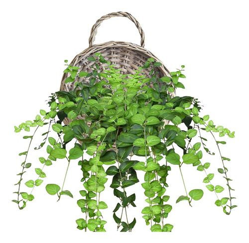 - Cesta Colgante Tejida Hecha A Mano, Soporte De Flores, S