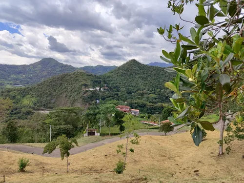 Lote En Venta En La Vega. Cod V1093026