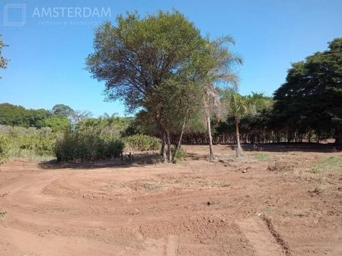 Imagem 18 de 30 de Sitio A Venda Em Limeira - St00005 - 69551023