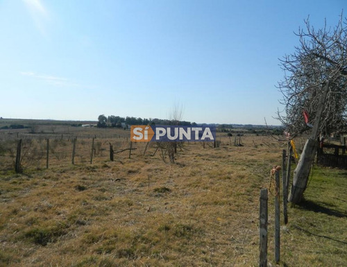 Imagen 2 de 4 de Linda Casa En Los Ceibos