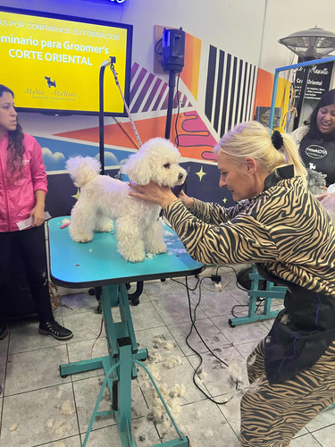 Curso De Peluquería Canina, Escuela Habilitada