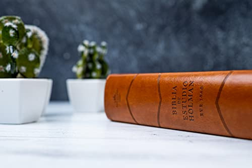 Libro : Reina Valera 1960 Biblia De Estudio Holman, Cafe...