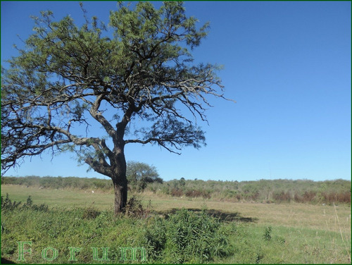En Venta Lotes Rumipal, Villa Verde, Zona Balnearia
