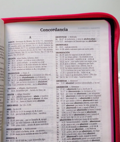 Biblia Grande Jean Rosada Cierre E Indice Reina Valera 1960