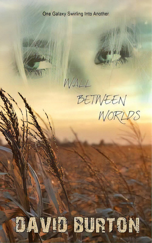 Wall Between Worlds, De Burton, David. Editorial Lightning Source Inc, Tapa Blanda En Inglés