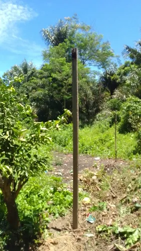 Vendo Lotes De Terreno Em Cotijuba Belém Pará