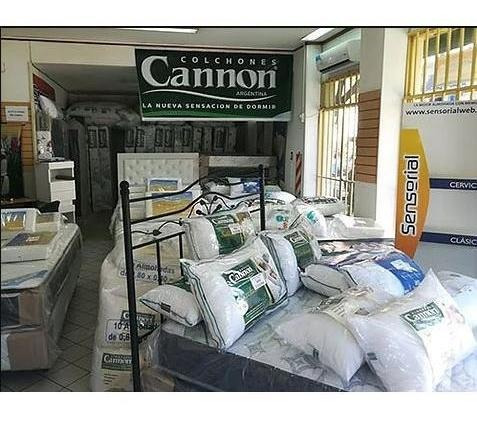Oferta!! Cannon Princess Colchón Y Sommier Ecocuero 2½ Plaza