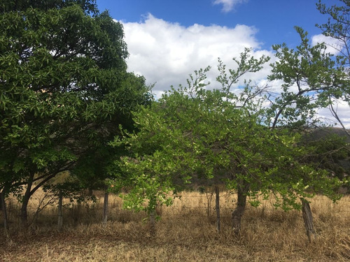 Imagem 15 de 24 de Chácara À Venda, 2800 M² Por R$ 80.000 - Zona Rural - Caldas/mg - Ch0126