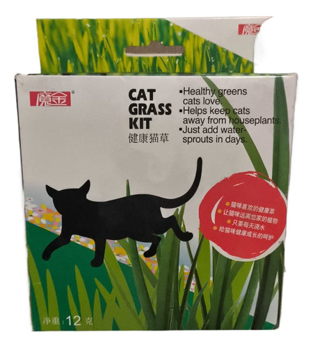 Semilla Catnip Cat Grass Juguete Gato Hierba Gatera Pasto