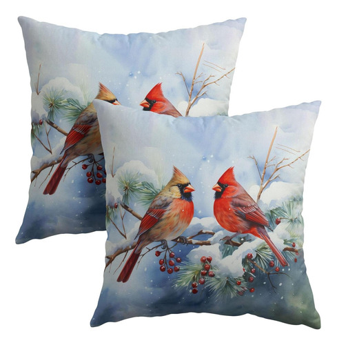 Anyako Winter Snow Nieve Red Cardinal Bird Pillar Cubre Un J