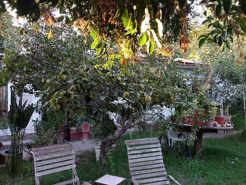 Camino Buin Maipo Paradero 6