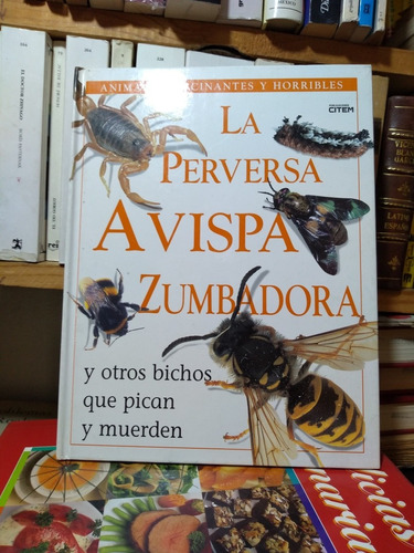 La Perversa Avispa Zumbadora Y Otros Bichos Que Pican 