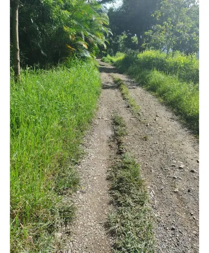 Se Vende Lote En Sanjeronimo (antioquia) 20 Hectáreas + 8.000 Mtr2