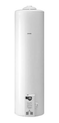 Imagen 1 de 2 de Termotanque A Gas Longvie 150 Litros T3150f