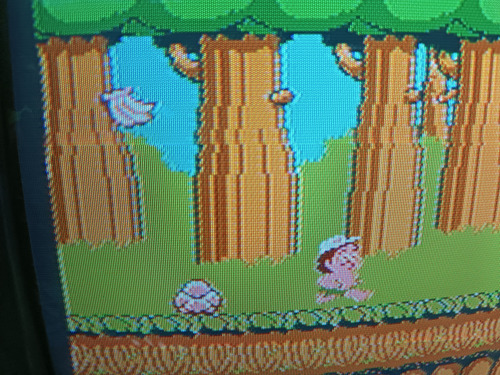 Adventure Island Para Nes Físico Original (Usado)