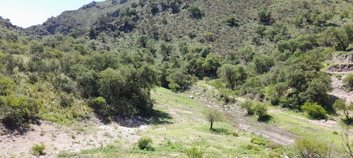 Venta Terrenos (varias Opciones) En Potrero De Los Funes La Curuxa