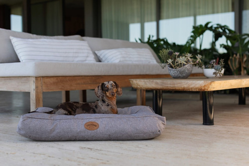 Cama Moises Cuna Colchon Impermeable Perros Gatos Jesse 60cm