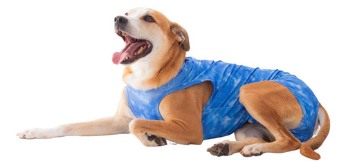Roupa Protetora Pós Castração Cão Macho - Pet Med - Tam 11