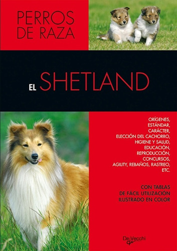 Shetland Perros De Raza - De Vecchi