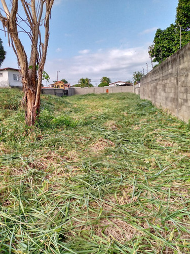 Imagen 4 de 6 de Terreno En Venta. Alto Barinas