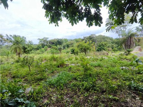 Lote Terreno En Sopetran A 6 Minutos Del Pueblo