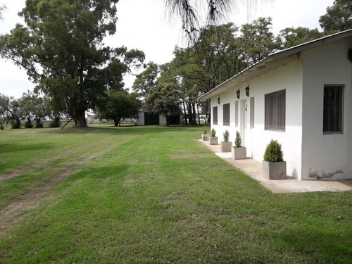 Imagen 2 de 18 de Venta Chacra 40 Hs Con Criadero De Cerdos En Las Flores.