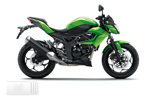 Kawasaki Z 250 Sl