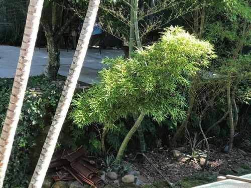 Casa Em Ipanema Com 4 Dormitórios - Vz5405